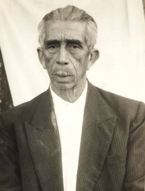 lulu-machado